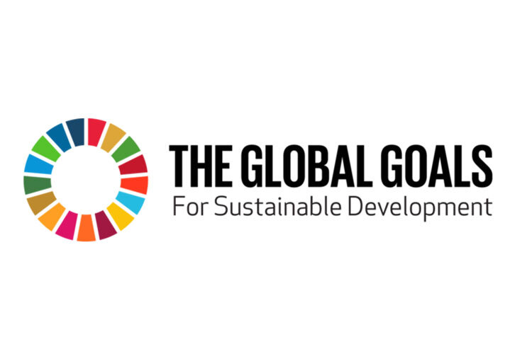 The global goals