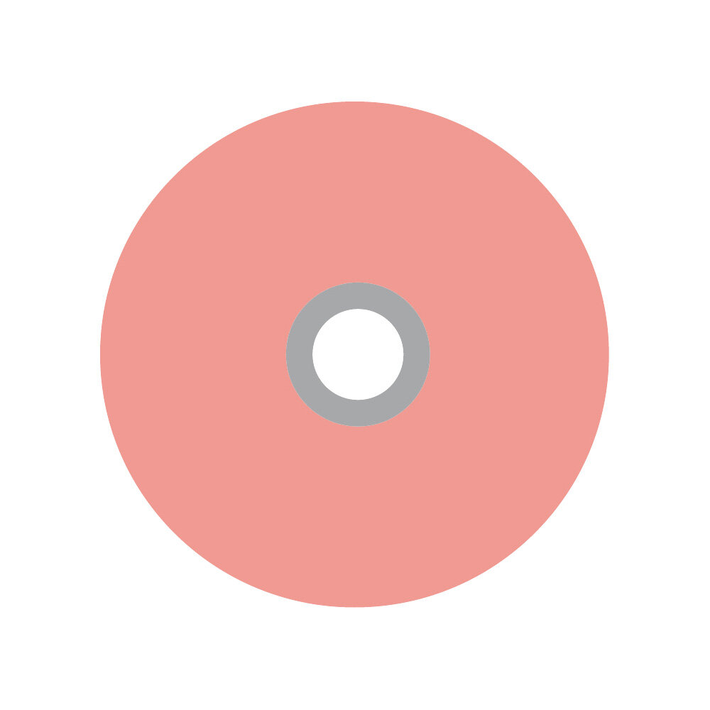 Flexi plastic disc 