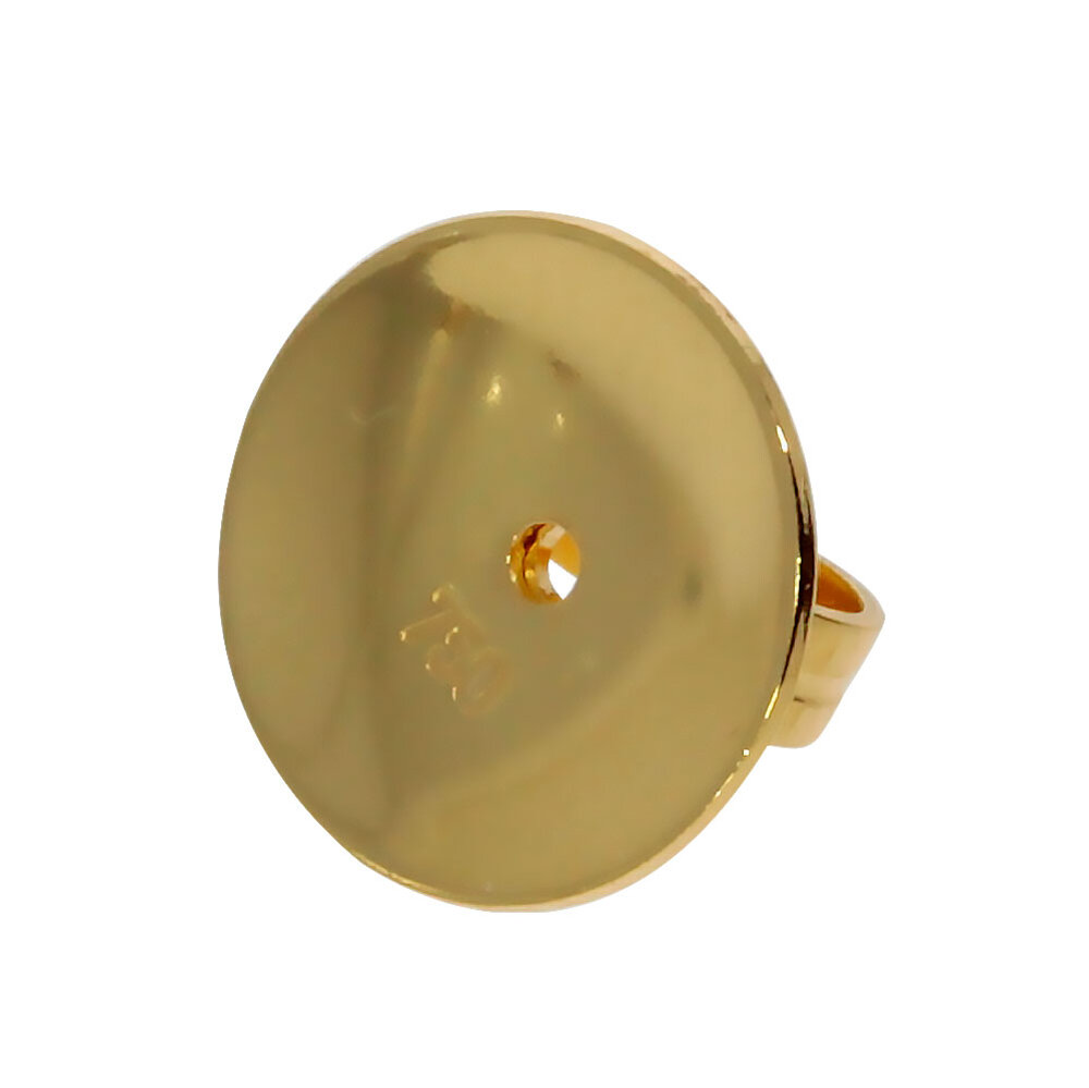 Ear nut curved plate 750/-  