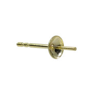 Ear pin with polished cup 585/- yellow gold
